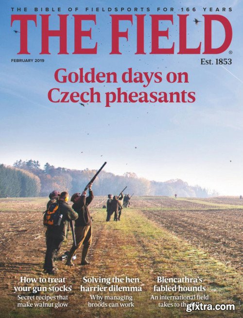 The Field - February 2019