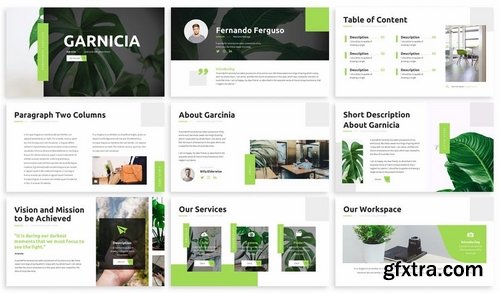 Garnicia - Fresh Powerpoint Template