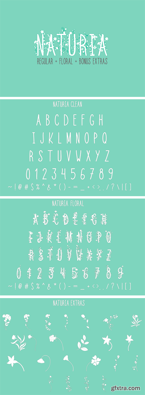 Fontbundles - Naturia Floral Font & Bonus Extras 193532