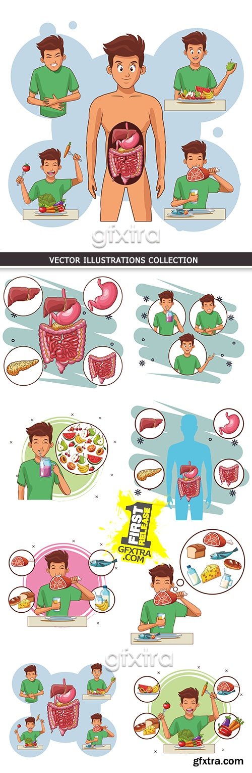 Anatomy digestive organs person cartoon illustration