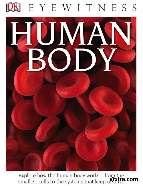 Human Body (DK Eyewitness Books)