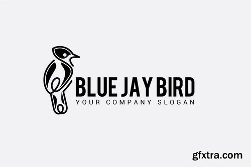 BLUE JAY BIRD