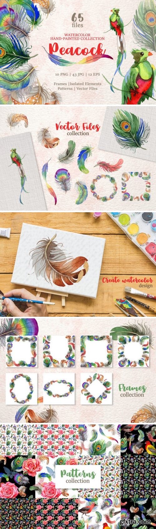 CM - Peacock Watercolor png 3356960