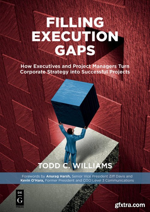 Filling Execution Gaps: How Executives and Project Managers Turn Corporate Strategy into Successful Projects