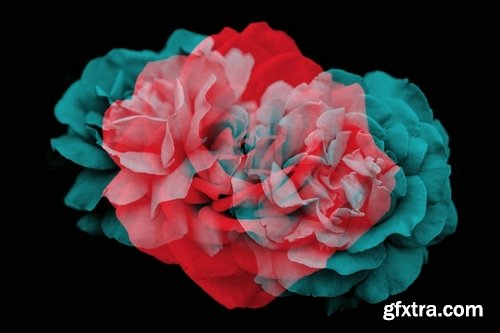 Elegant Floral Brushes for Photoshop