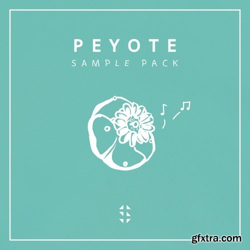 Samplified Peyote Sample Pack WAV NATiVE iNSTRUMENTS MASSiVE XFER RECORDS SERUM