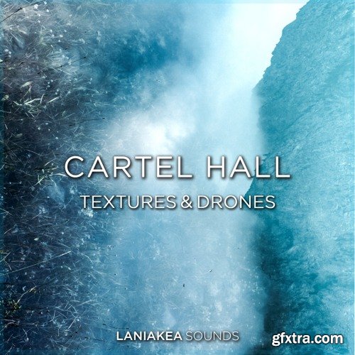 Laniakea Sounds Cartel Hall Textures And Drones WAV-DISCOVER