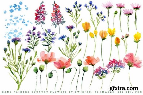 Watercolor Country Flowers