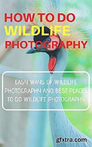 How to do Wildlife Photography: Easy Ways of Wildlife Photography And Best Places to do Wildlife Photography