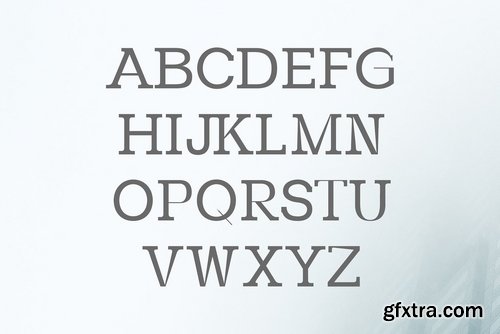 CM - Paulose Modern Serif Font Family 3407905