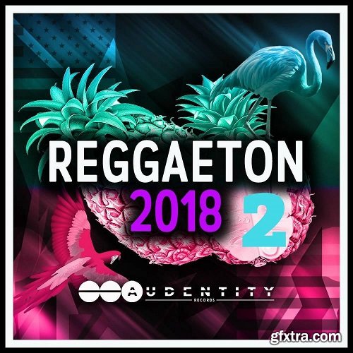 Audentity Records Reggaeton 2018 Vol 2 WAV FXP-SYNTHiC4TE