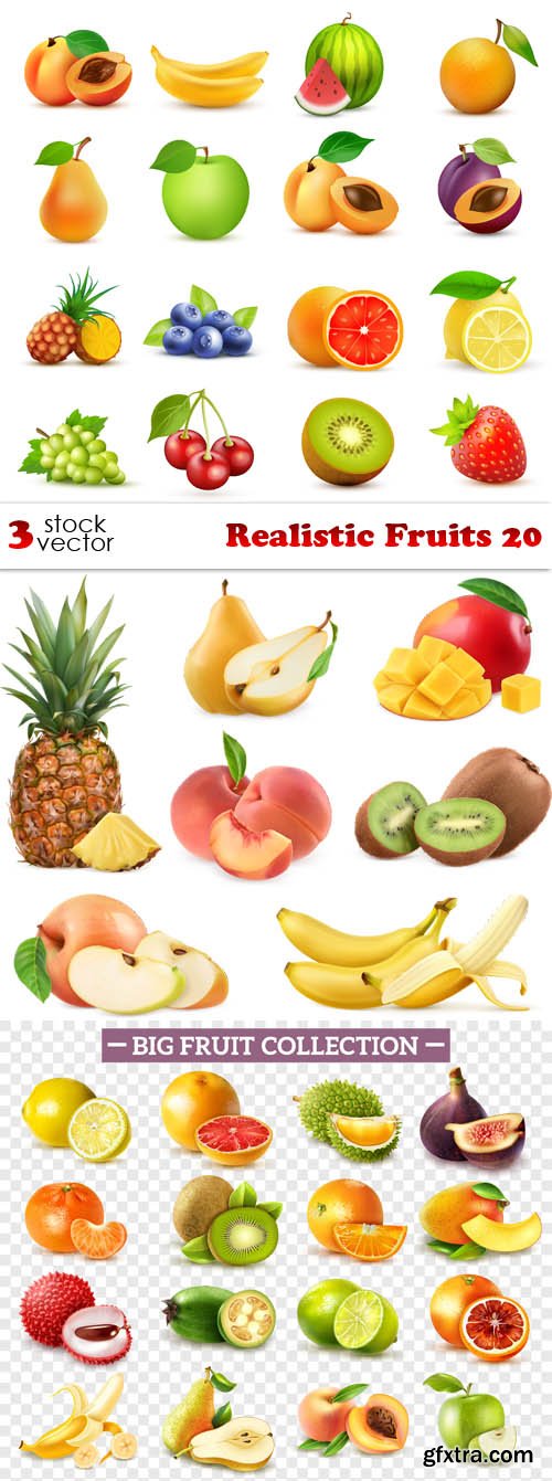 Vectors - Realistic Fruits 20