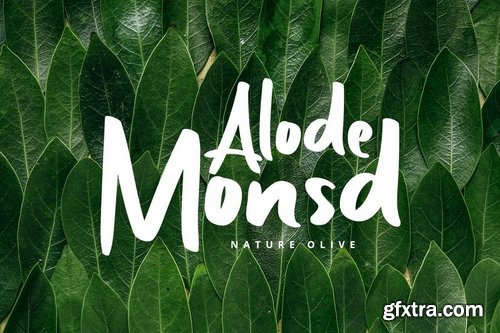 CM - Zaitun  A Nature Branding Font 3415182