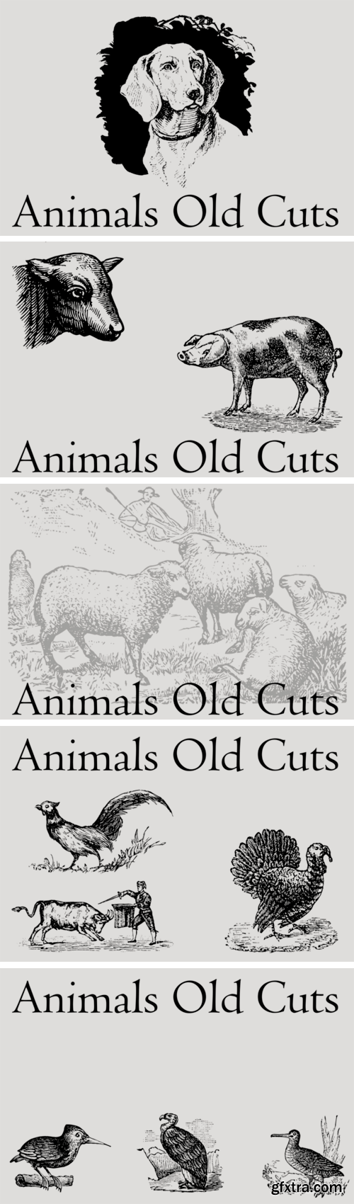 Animals Old Cuts Font