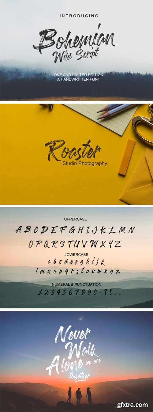 Bohemian Wild Script Font