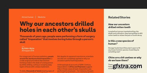 Armin Grotesk Font Family - 14 Fonts