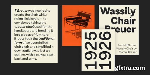 Armin Grotesk Font Family - 14 Fonts