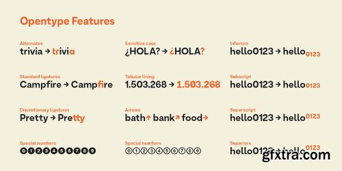 Armin Grotesk Font Family - 14 Fonts