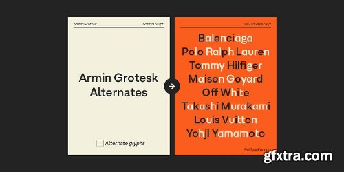 Armin Grotesk Font Family - 14 Fonts