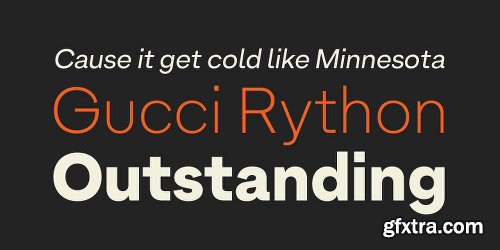 Armin Grotesk Font Family - 14 Fonts