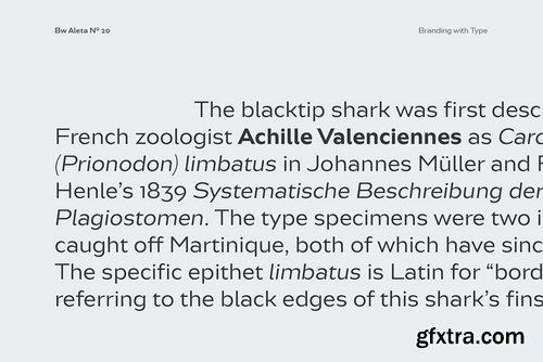 Bw Aleta Font Family