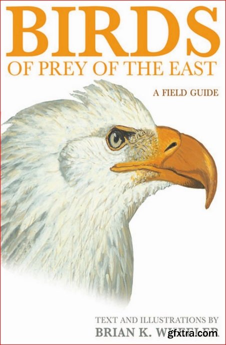 Birds of Prey of the East : A Field Guide