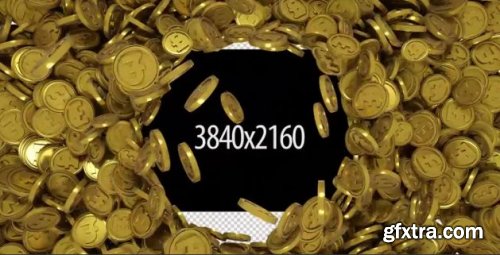 Gold Pound Transition - Motion Graphics 156024