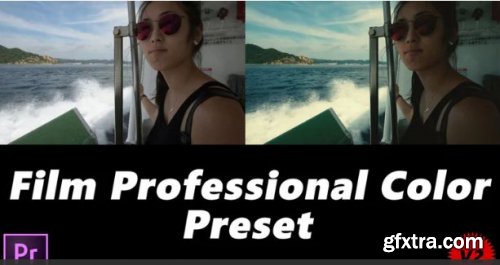 Professional Film Preset V.2 - Premiere Pro Templates 159700