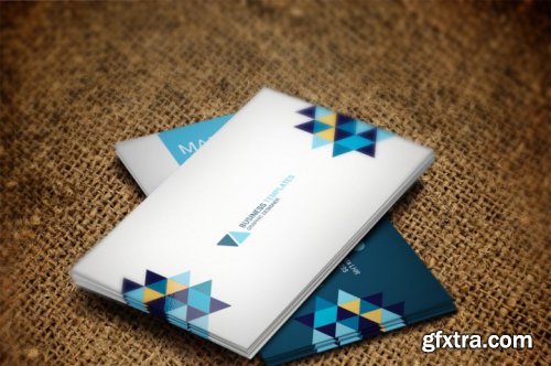 Simple Professional Business Card