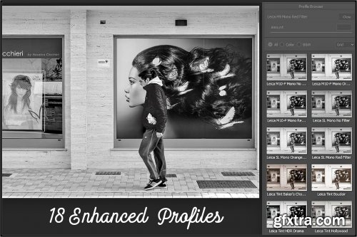 CreativeMarket - Leica Monochrome profiles LR ACR 3369370