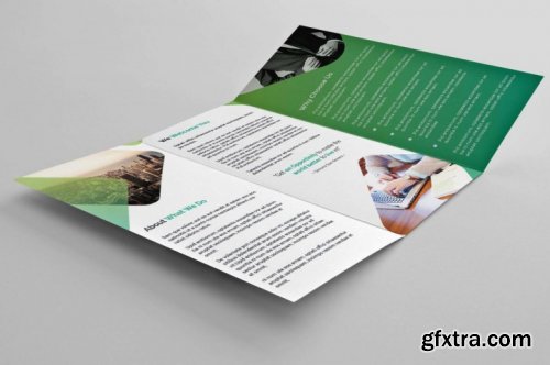 Green Trifold Brochure