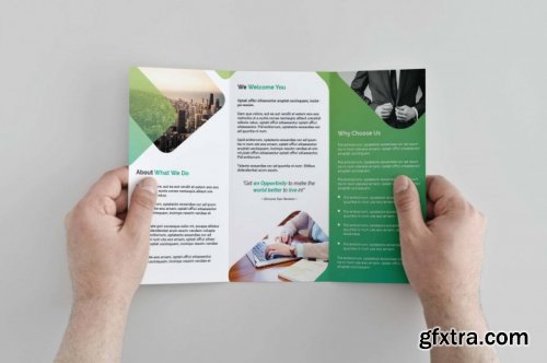 Green Trifold Brochure