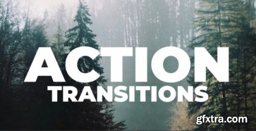 Action Transitions 167892