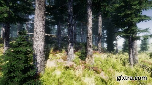 Mountain Trees - Dynamic Nature