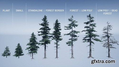 Mountain Trees - Dynamic Nature