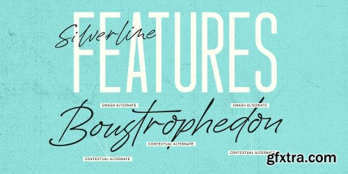 Silverline Font Family - 4 Fonts