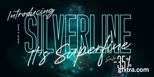 Silverline Font Family - 4 Fonts