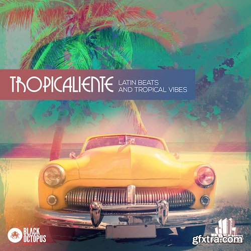 Black Octopus Sound Tropicaliente WAV MiDi-DISCOVER