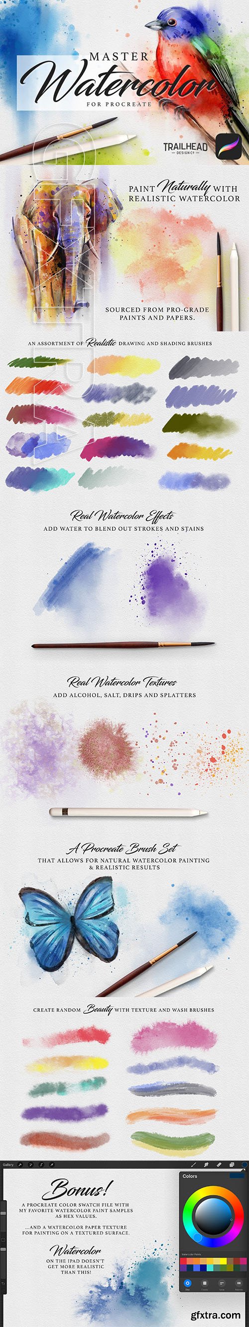 CreativeMarket - Master Watercolor Procreate Brushes 3403855