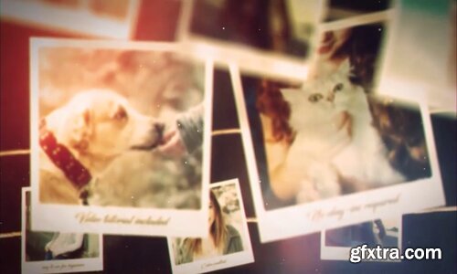 Videohive - Elegant Gallery - 19684524