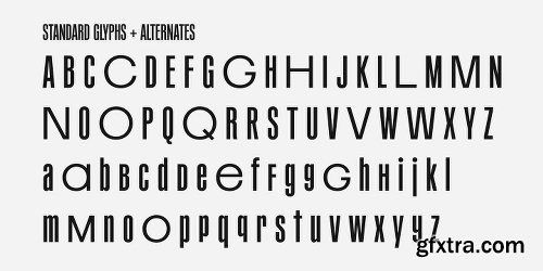 PF Mellon Font Family - 5 Fonts