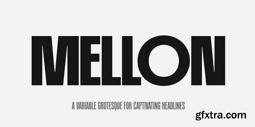 PF Mellon Font Family - 5 Fonts