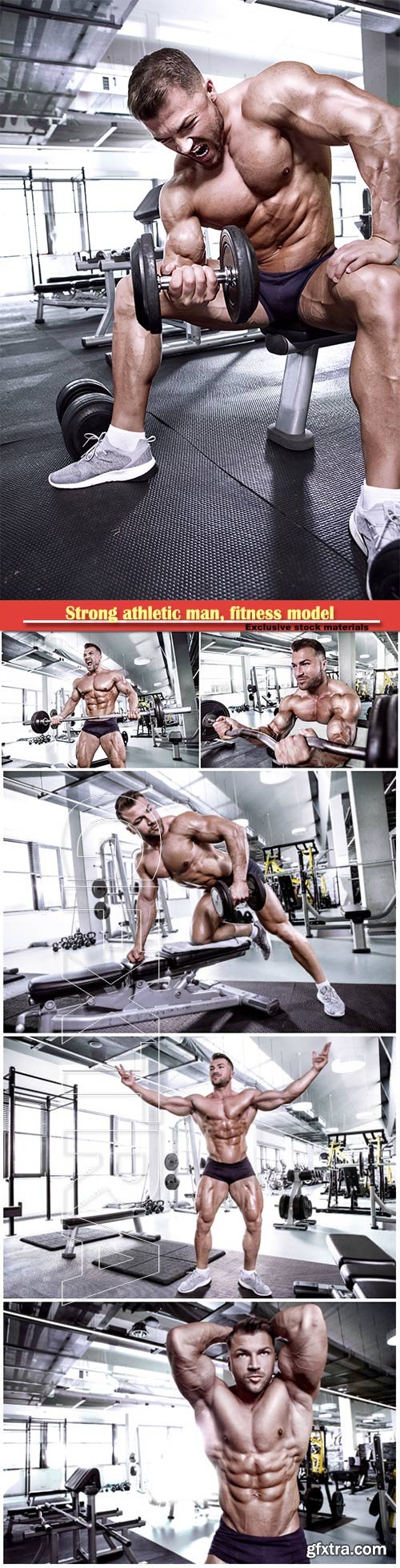 Strong athletic man, fitness model