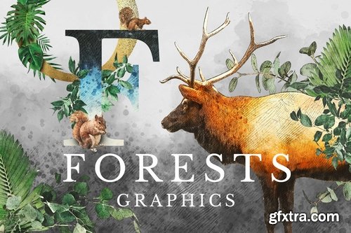 Forest Illustrations Graphics Kit