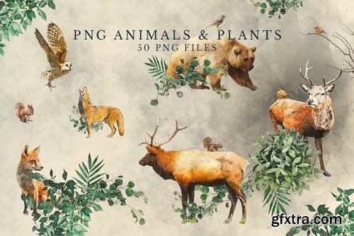 Forest Illustrations Graphics Kit