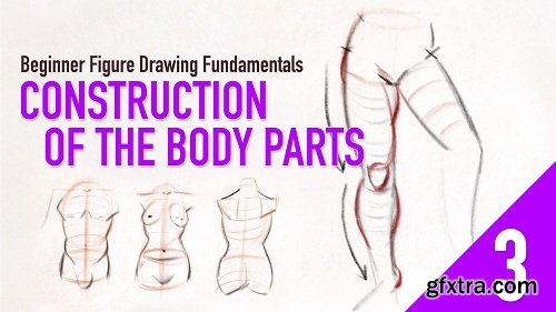 Beginner Figure Drawing Fundamentals - Construction of the Body Parts