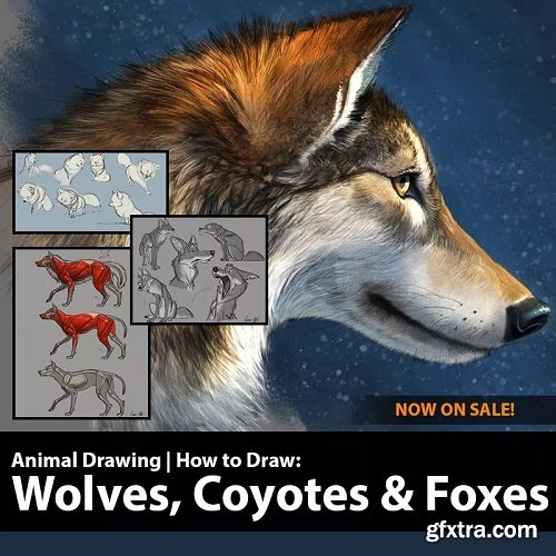 CreatureArtTeacher - Aaron Blaise - How to Draw Wolves, Coyotes & Foxes