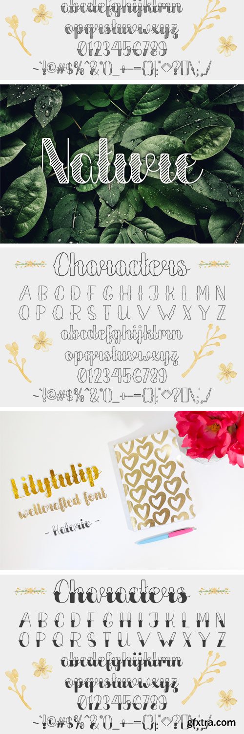 Fontbundles - Lilytulip Script Font 133252