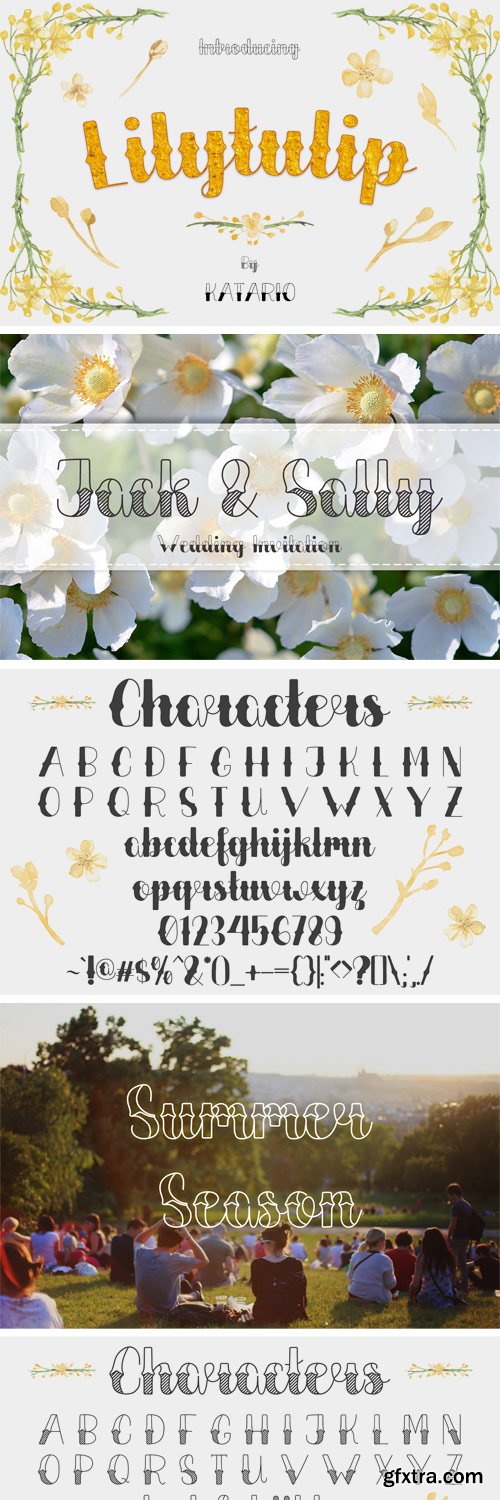 Fontbundles - Lilytulip Script Font 133252