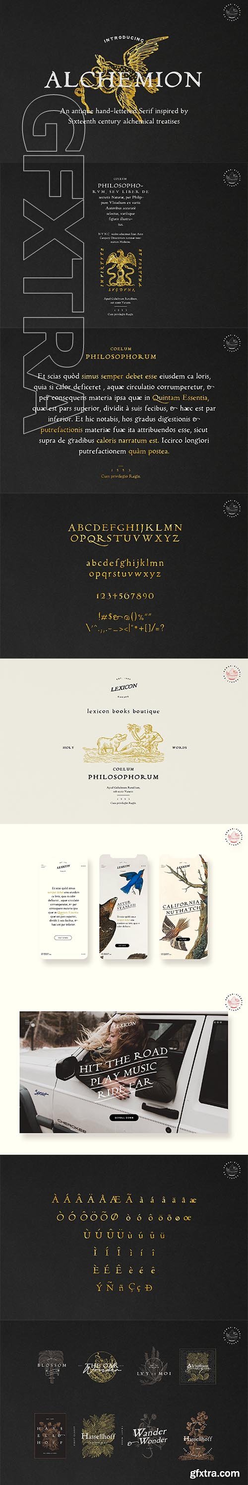 CreativeMarket - Alchemion - Display Serif Font 3439313